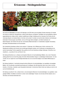Ericaceae - Heidegewächse