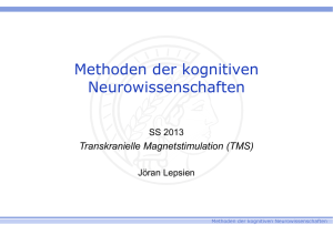 Transkranielle Magnetstimulation (TMS)