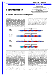 Fachinformation Kardiale natriuretische Peptide
