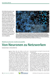 Von Neuronen zu Netzwerken. Mathematische Gehirnmodelle