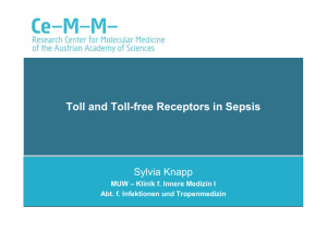 Toll and Toll-free Receptors in Sepsis