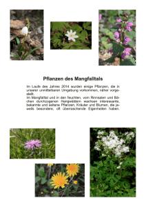 Pflanzen des Mangfalltals - BUND Naturschutz Rosenheim