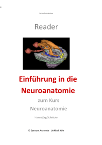 Reader Neuroanatomie - Zentrum Anatomie