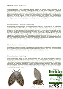 Schmetterlingsmücken (Psychodidae) Schmetterlingsmücken