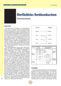 NMIBC_Adjutum_2006 - Urologie Linz, Dr. Andreas Sommerhuber