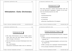 Metadaten: Data Dictionary