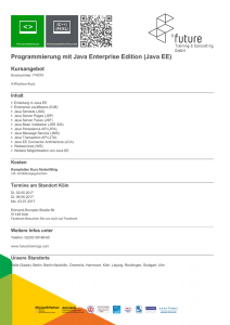 Programmierung mit Java Enterprise Edition (Java EE)