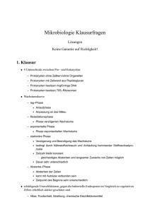 Klausur MiBi 1999 - Fachschaften HU Berlin