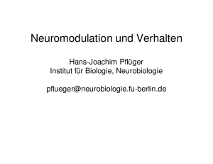 Neuromodulator - Neurobiologie, FU Berlin