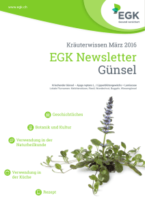 EGK Newsletter Günsel