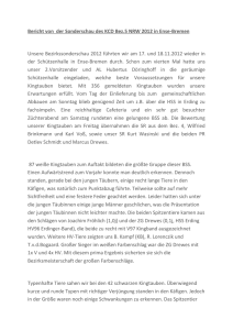 Bericht von der Sonderschau des KCD Bez.5 NRW 2012 in Ense