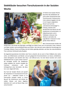 Bericht - Julius-Leber Schule Breisach – Gemeinschaftsschule