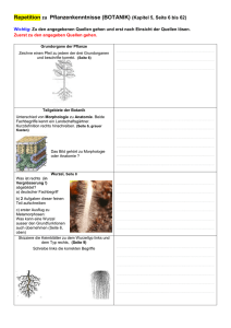 Repetition zu Botanik (Seiten 1 bis 6)