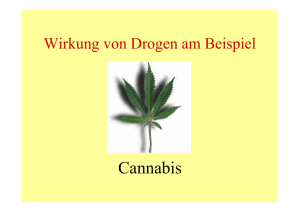 Wirkung von Drogen am Beispiel Cannabis