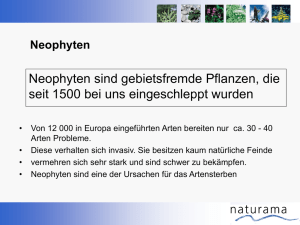 Neophyten sind gebietsfremde Pflanzen, die seit 1500 bei uns