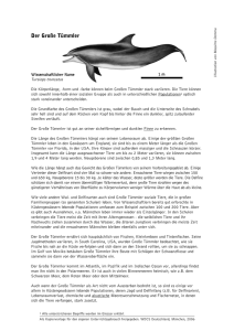 Der Große Tümmler - Whale and Dolphin Conservation