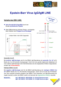 Epstein-Barr Virus IgG/IgM LINE