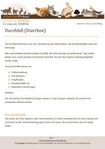 Durchfall (Diarrhoe) - Kleintierpraxis Dr. Nina Müller