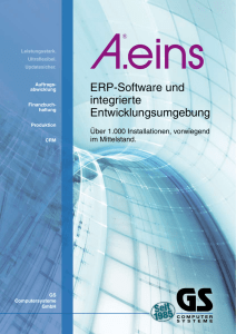 ERP-Software und integrierte Entwicklungsumgebung