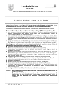 AV_MFB-05-1150-UE Merkblatt Wildbrethygiene in der Decke