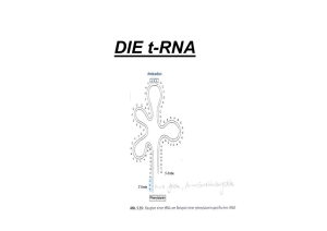 DIE t-RNA - Biochemie Trainingscamp