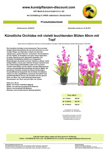 Künstliche Orchidee mit violett leuchtenden Blüten 80cm mit Topf