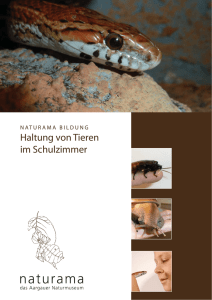 Schulzimmer Zoo-Homepage.indd