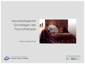 Neurobiologische Grundlagen der Psychotherapie