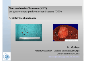 NET GEP SD Karzinom 2014 - Universitätsklinikum Jena