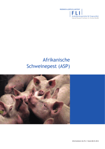 Afrikanische Schweinepest (ASP)