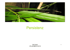 Persistenz - of Ralf Gitzel