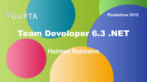 Team Developer 6.3 .NET