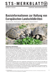 Basisinformationen zur Haltung von Europäischen Landschildkröten
