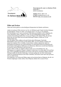 Flöhe und Zecken - Tierarztpraxis Dr. Barbara Wirth, Zweibrücken