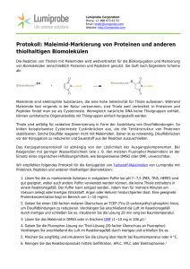 Protokoll: Maleimid-Markierung von Proteinen und anderen