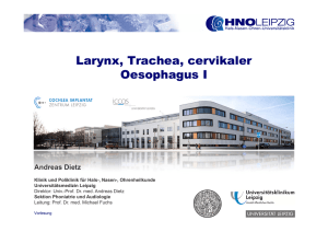 Larynx, Trachea, cervikaler Oesophagus I - HNO