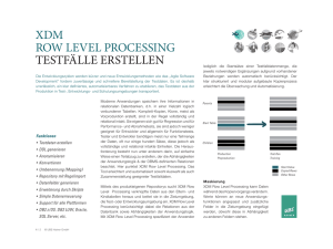 XDM Row Level Processing_13V07_deutsch.indd