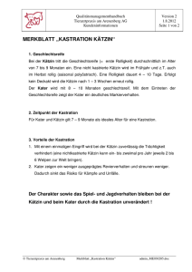 merkblatt „kastration kätzin“ - Tierarztpraxis am Arenenberg AG