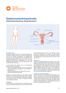 Gebärmutterkörperkrebs - Endometriumkarzinom