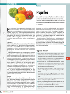 Basiswissen Gemüse Paprika - BioHandel