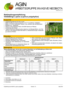 Bekämpfungsempfehlung Vielblättrige Lupine (Lupinus polyphyllus)