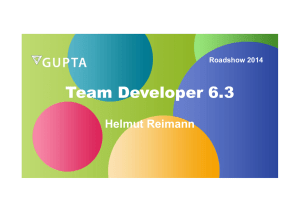Team Developer 6.3