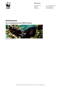Schimpanse - WWF Panda Club