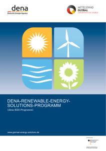 Das dena-Renewable-Energy-Solutions-Programm