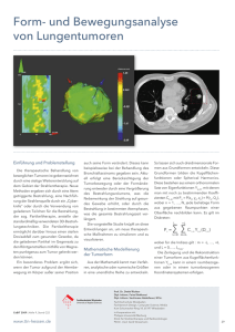 Form- und Bewegungsanalyse von Lungentumoren