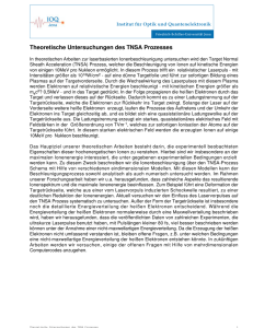 Theoretische Untersuchungen des TNSA Prozesses