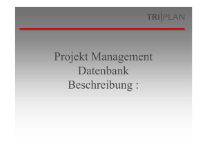 Projekt Management Datenbank Beschreibung