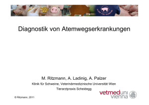 Ritzmann, Diagnostik von Atemwegserkrankungen