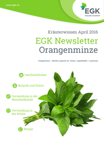 EGK Newsletter Orangenminze