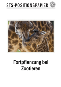 Positionspapier zur Fortpflanzung bei Zootieren